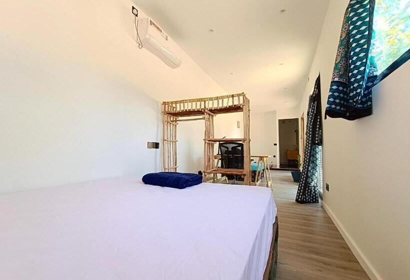 استودیوی استاندارد, Skippers   Adults Only