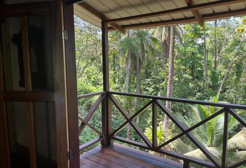 اتاق لوکس با بالکن, The Lodge At Punta Rica  Hilltop Eco Lodge With Views & Pool