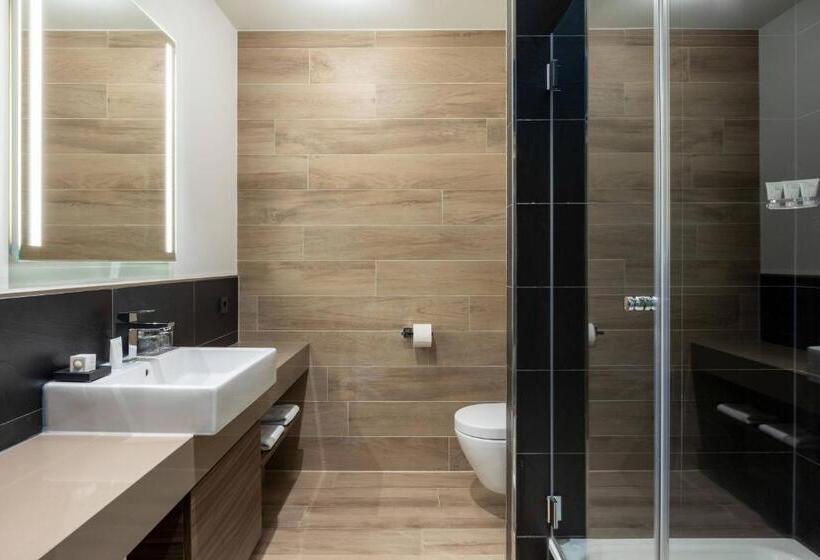 اتاق دلوکس با تخت کینگ و چشم‌انداز شهر, Ac Hotel By Marriott Mainz