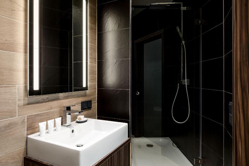 اتاق استاندارد با تخت بزرگ, Ac Hotel By Marriott Mainz