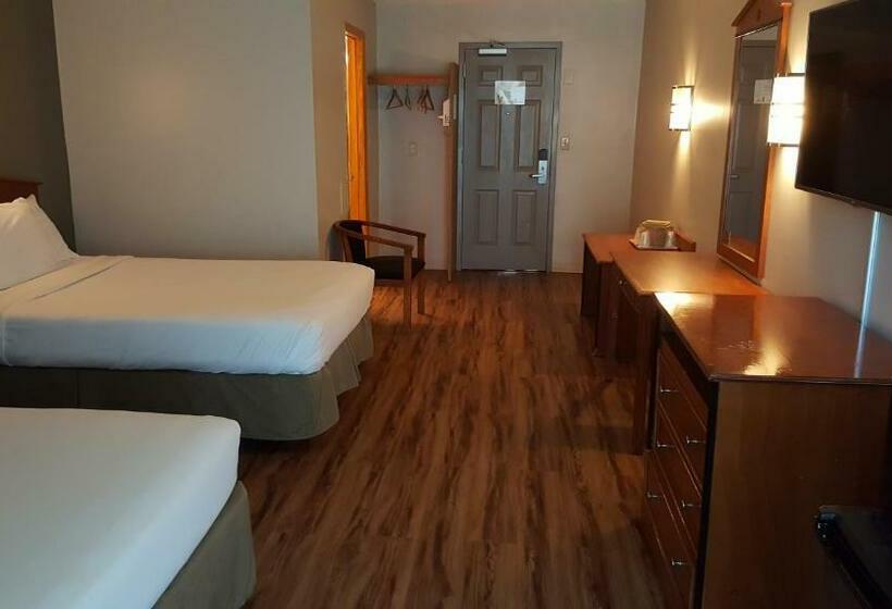 اتاق استاندارد با 2 تخت دوبل, Crystal Inn  Neptune