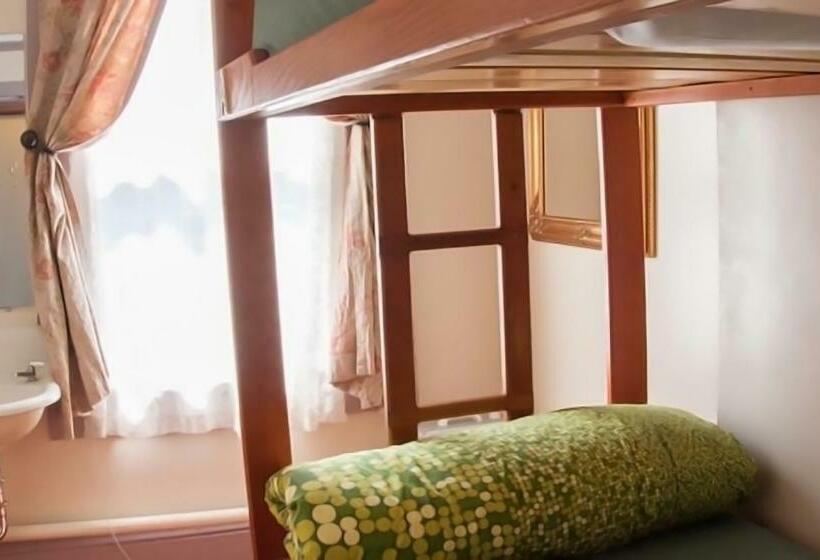 اتاق استاندارد با سرویس بهداشتی مشترک, Green Tortoise Hostel
