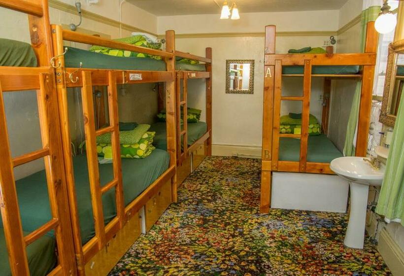 اتاق استاندارد با سرویس بهداشتی مشترک, Green Tortoise Hostel