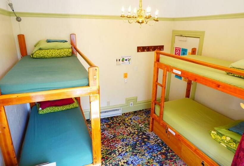 اتاق استاندارد با سرویس بهداشتی مشترک, Green Tortoise Hostel