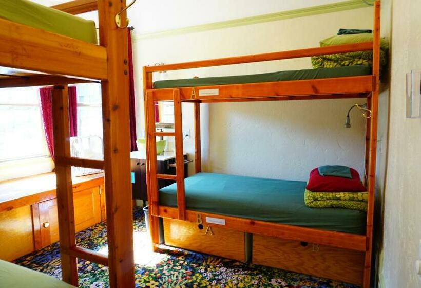 اتاق استاندارد با سرویس بهداشتی مشترک, Green Tortoise Hostel