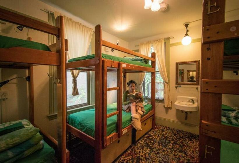 اتاق استاندارد با سرویس بهداشتی مشترک, Green Tortoise Hostel
