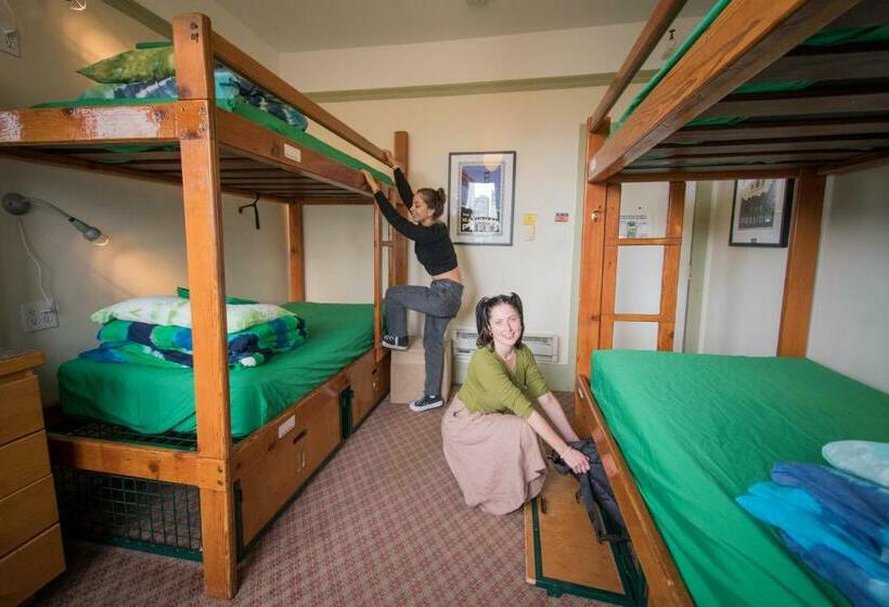 اتاق استاندارد با سرویس بهداشتی مشترک, Green Tortoise Hostel