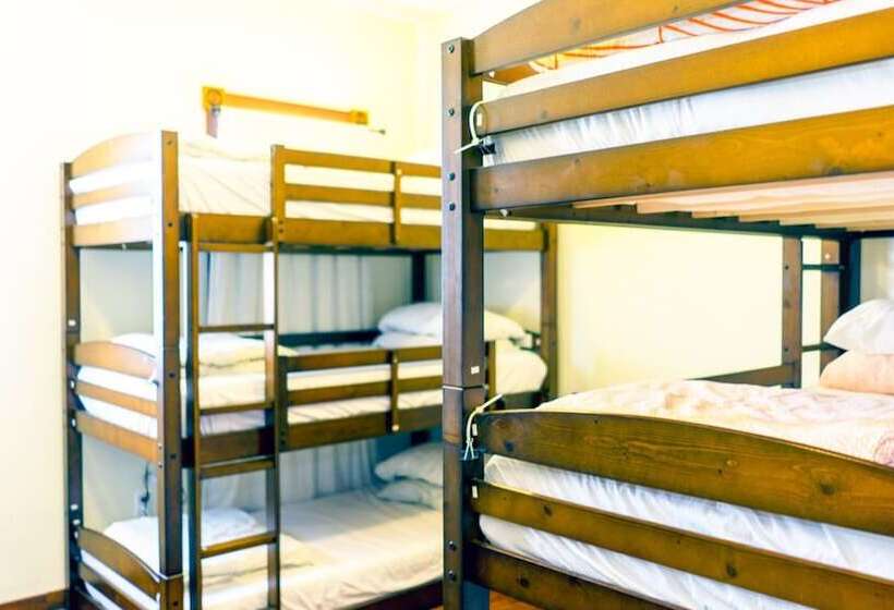 تختخواب در اتاق مشترک, International Travelers House Adventure Hostel