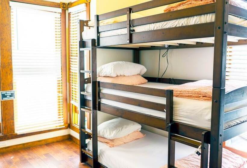 تختخواب در اتاق مشترک, International Travelers House Adventure Hostel