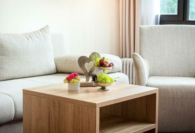 اتاق استاندارد یک تخته با بالکن, Moselblick