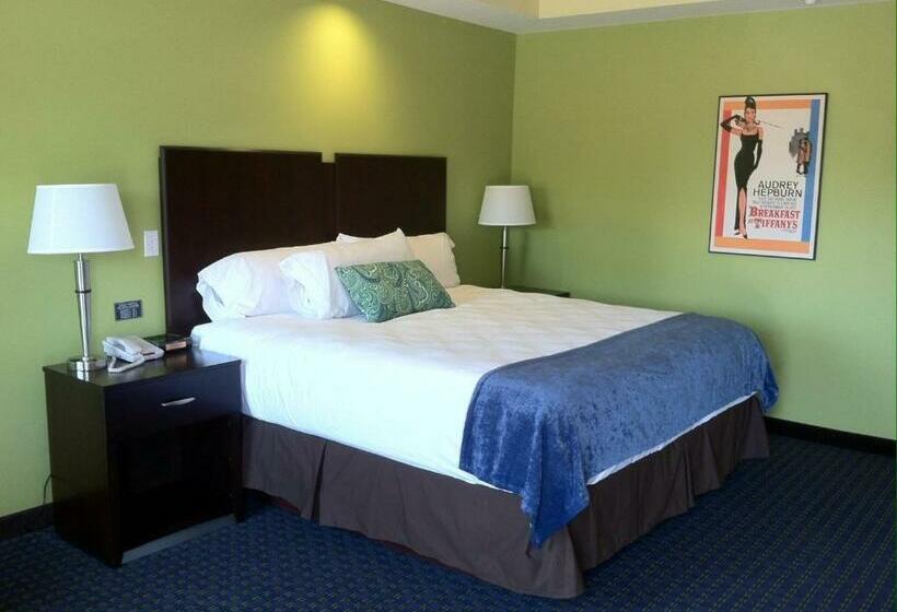 اتاق استاندارد با تخت بزرگ, Starlight Inn