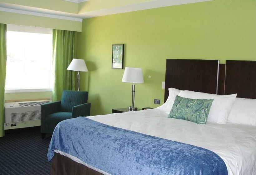 اتاق استاندارد با تخت بزرگ, Starlight Inn
