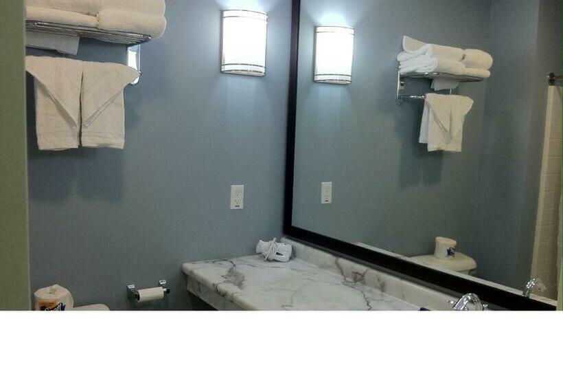 اتاق استاندارد با تخت بزرگ, Starlight Inn
