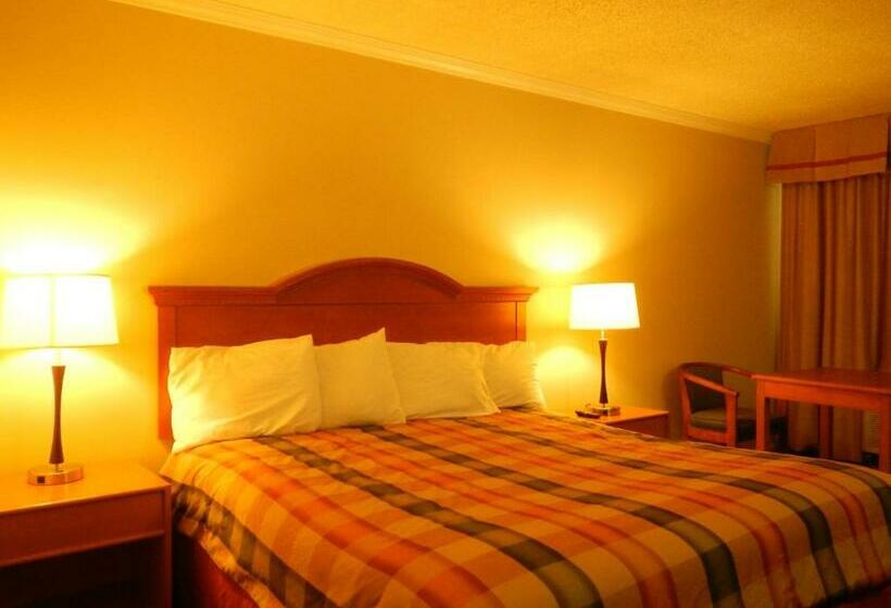 اتاق استاندارد با تخت بزرگ, Lemon Tree Motel