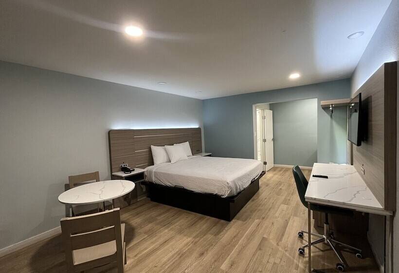 اتاق استاندارد با تخت دوبل برای معلولان, Lemon Tree Motel