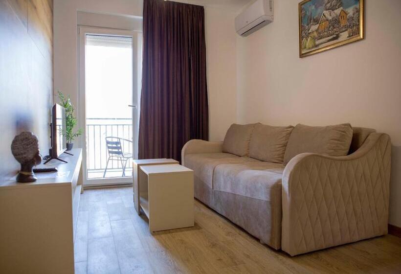 آپارتمان 1 خوابه با بالکن, Apart Hotel Gondola Kolasin