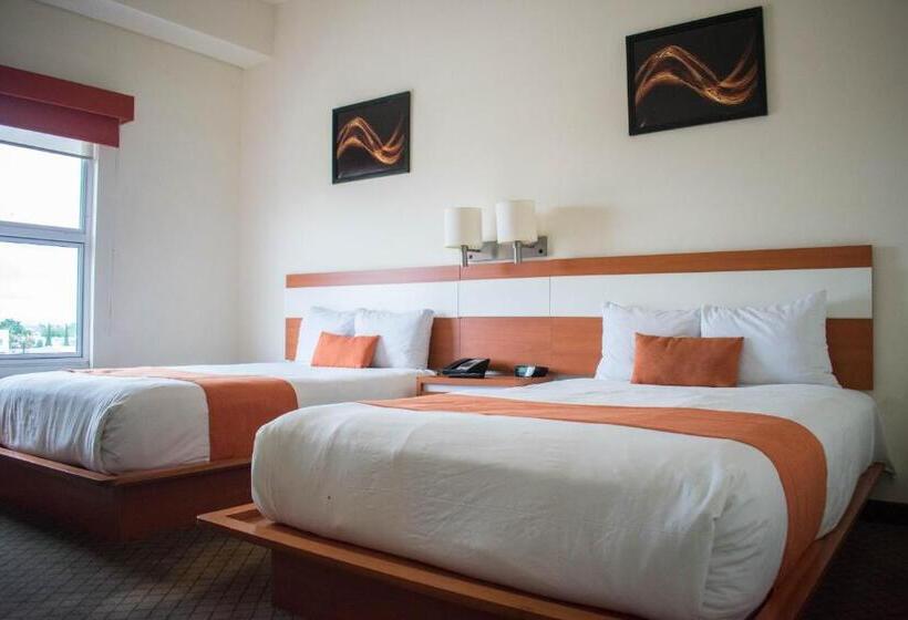 اتاق استاندارد, Los Herederos Hotel Piedras Negras
