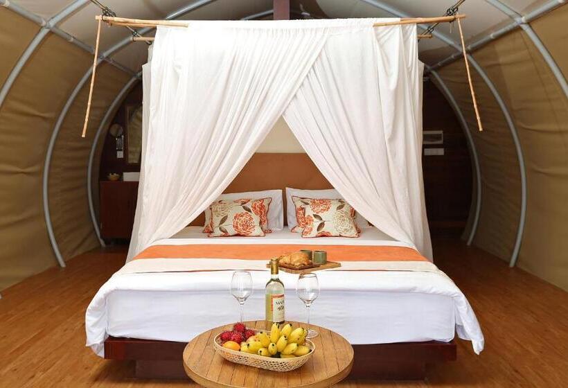 اتاق استاندارد, Floating Jungloo
