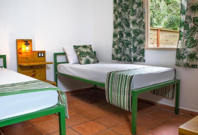 اتاق استاندارد, Green Haven Hostel Ilha Anchieta