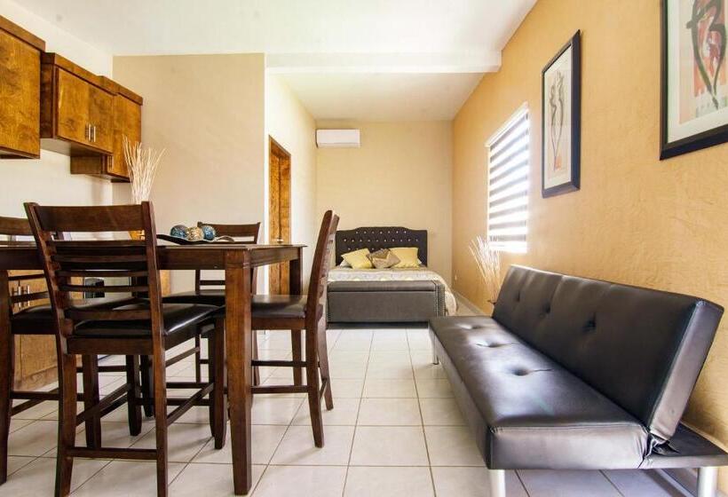 استودیوی لوکس, Quinta San Carlos Ensenada