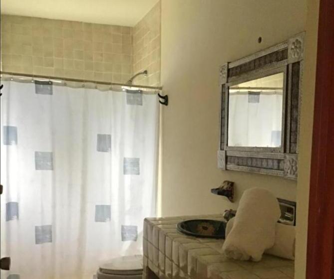 סוויטה, Suite Sofia Veracruz