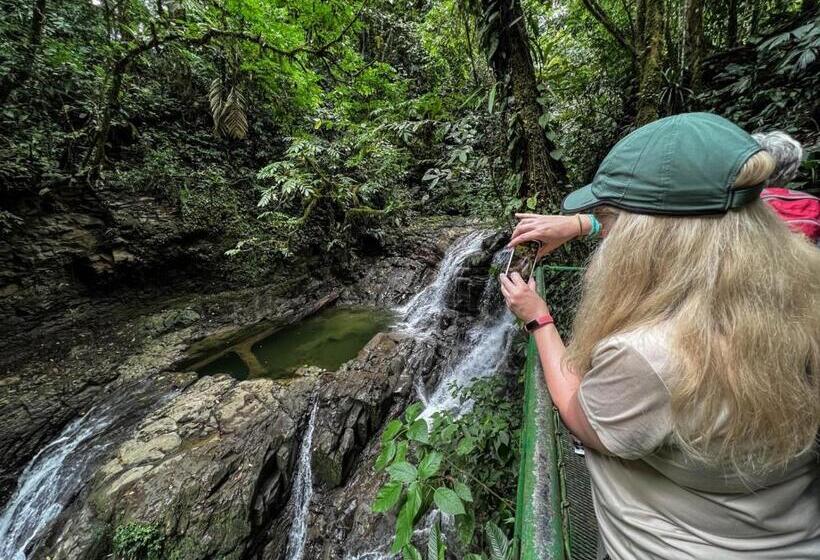 اتاق استاندارد چهار تخته, Veragua Rainforest