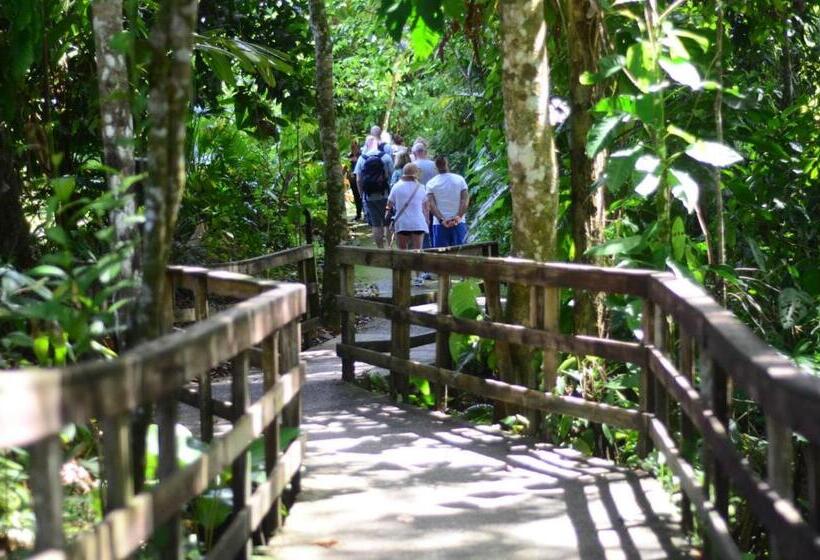 اتاق استاندارد چهار تخته, Veragua Rainforest