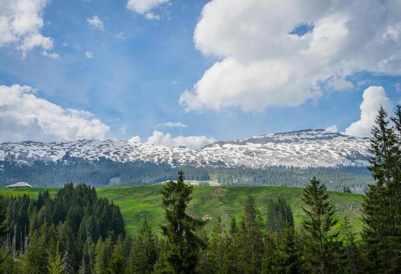 اتاق استاندارد, Bergwelten Salwideli