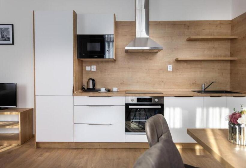 آپارتمان سوپریور 1 خوابه, Residence Morris Mladá Boleslav