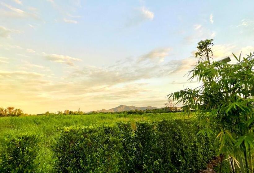 اتاق سوپریور خانوادگی, Baansuan Marigold บ้านสวนมาลีโกลด์