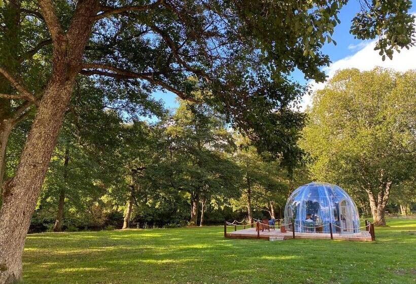 اتاق استاندارد, Borås Camping & Vandrahem