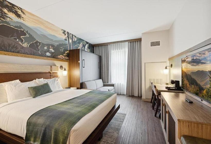 Cameră Standard Pat King Size, Dollywood S Heartsong Lodge & Resort