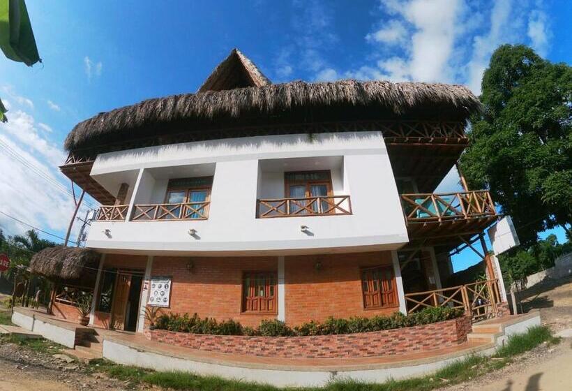 اتاق استاندارد, Lapu