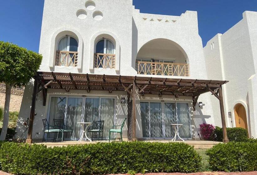 کلبه ییلاقی, Studio