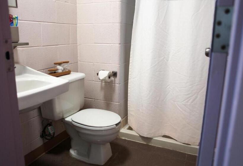 اتاق استاندارد یک نفره, Residence & Conference Centre   Timmins