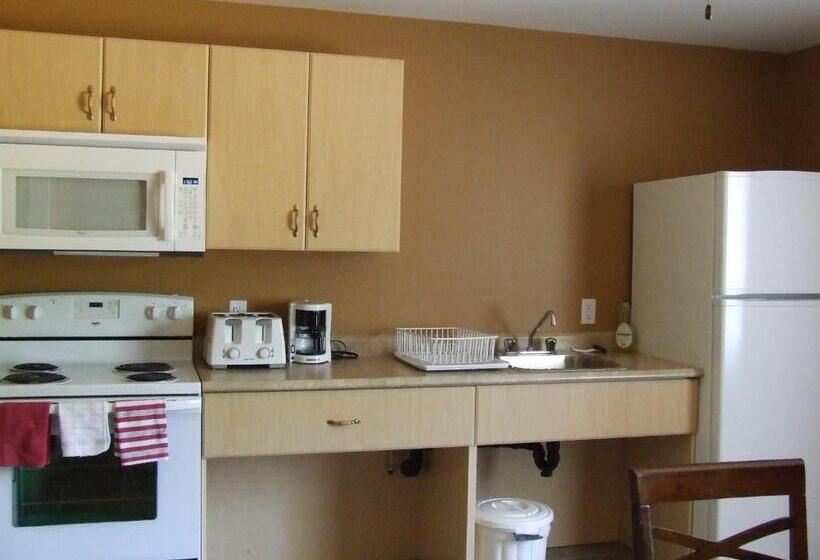 اتاق استاندارد, Motel 7 Inn & Suites