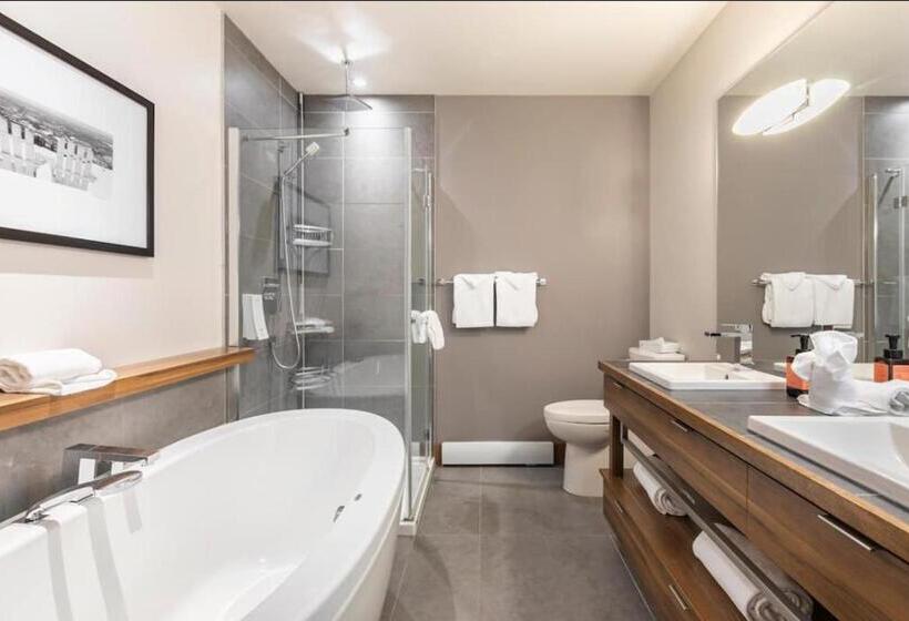آپارتمان 1 خوابه, Suites Sur Lac Superieur Mont Tremblant