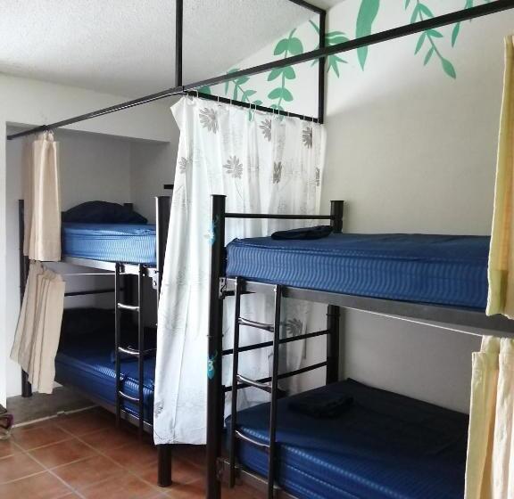 تختخواب در اتاق مشترک, Xungla Cancún