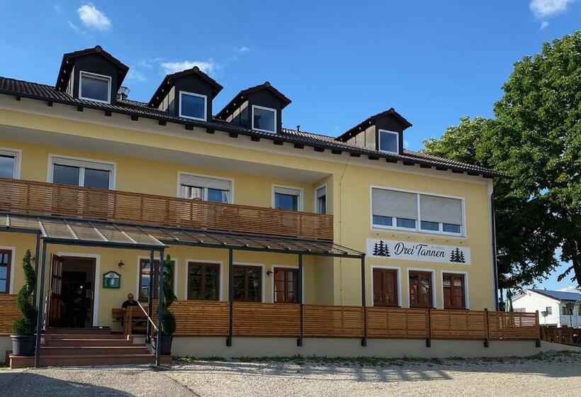 اتاق استاندارد, Gasthof Hotel Drei Tannen Altdorf