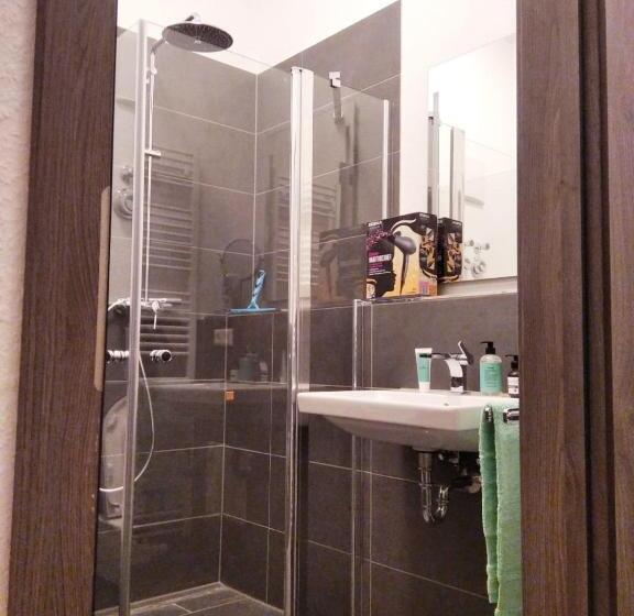اتاق استاندارد یک نفره, Sroom Stuttgart Flughafen Messe