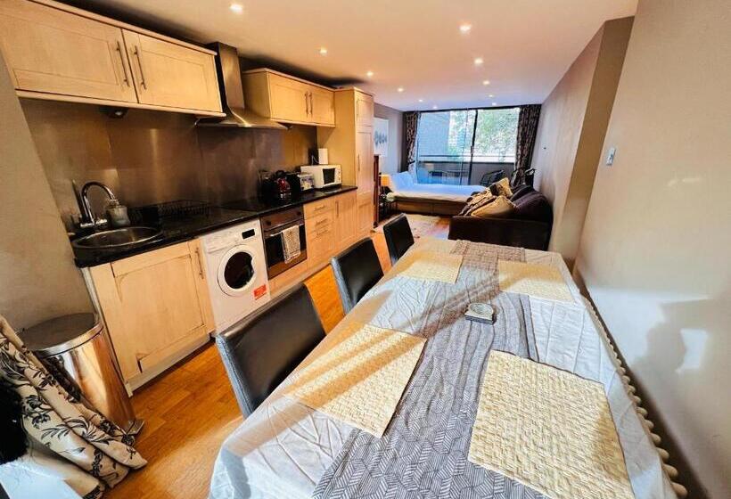 1 Bedroom Apartment Lake View, River Thames View Entire Apartment Next To Tate Modern And St Paul Cathedral