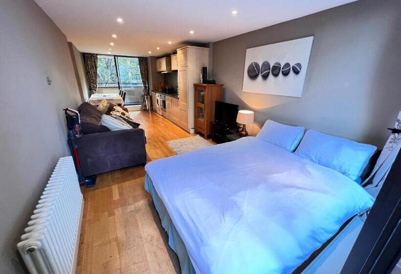 1 Bedroom Apartment Lake View, River Thames View Entire Apartment Next To Tate Modern And St Paul Cathedral