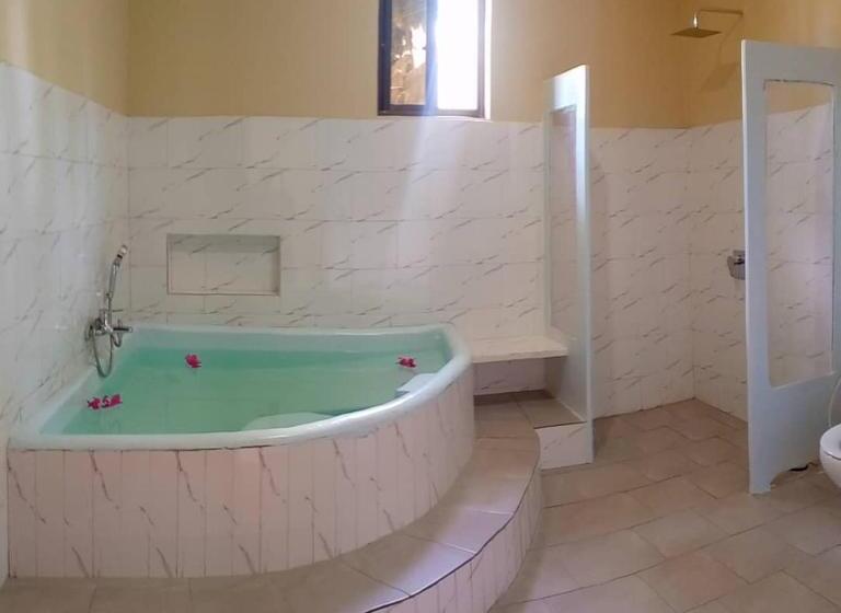 ویلای لوکس 1 خوابه, Mafia Neptune Villa Lodge