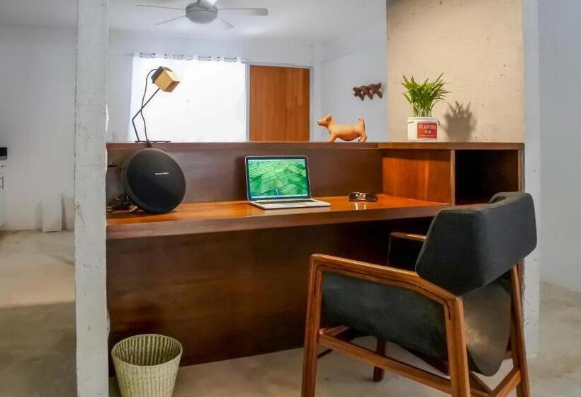 آپارتمان 1 خوابه با بالکن, Casa De Piedra Tulum