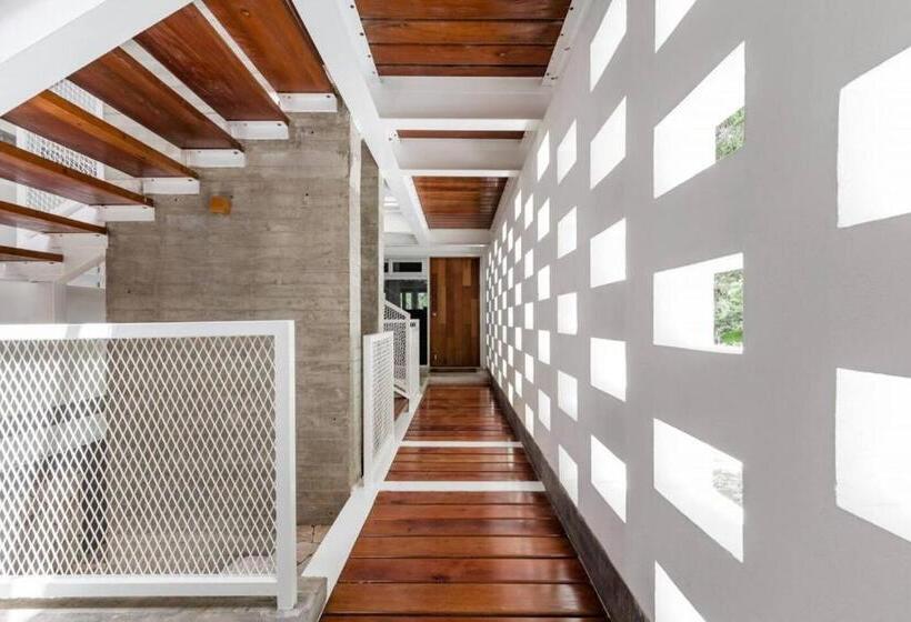 آپارتمان 1 خوابه با چشم‌انداز باغ, Casa De Piedra Tulum