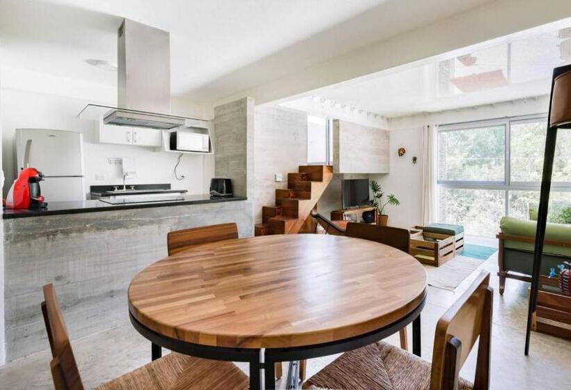 آپارتمان 1 خوابه با چشم‌انداز باغ, Casa De Piedra Tulum