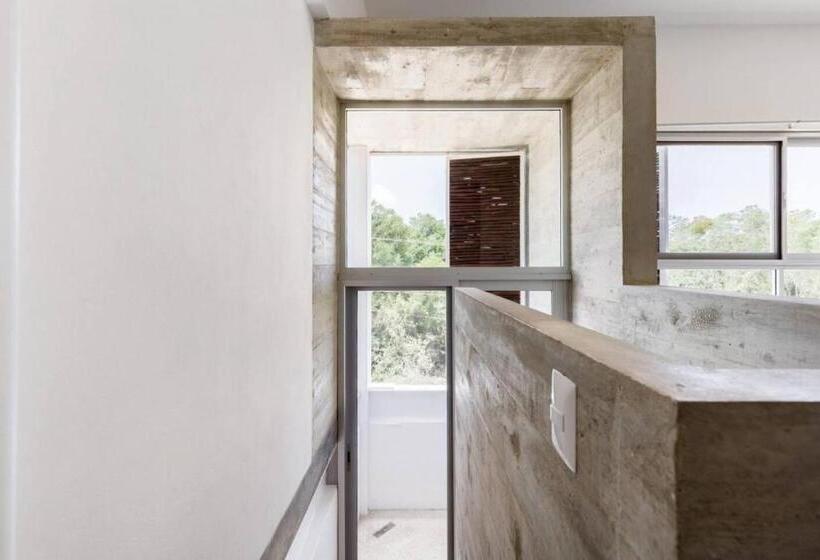 اتاق استاندارد, Casa De Piedra Tulum