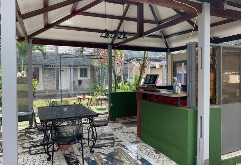 استودیو استاندارد با چشم‌انداز باغ, Fengshui Residence