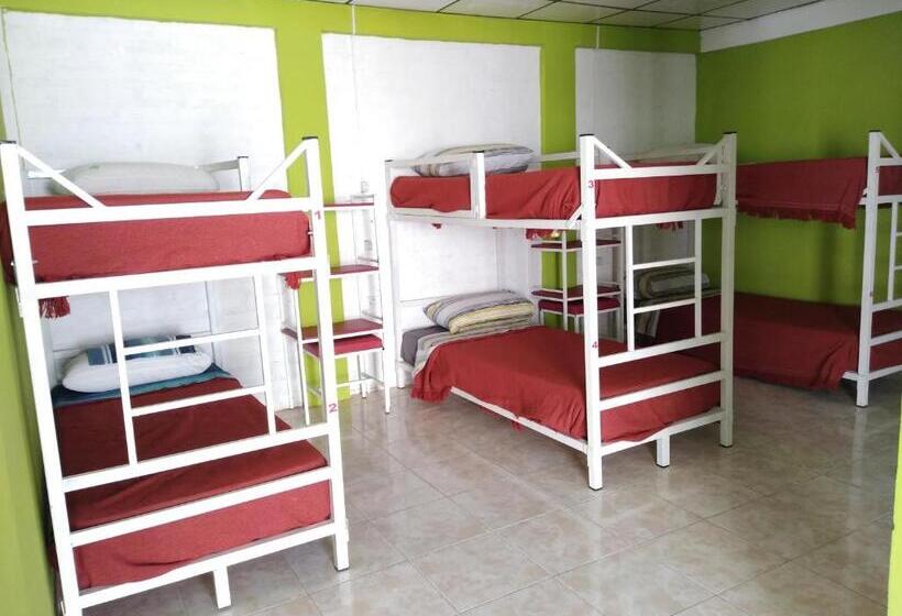 اتاق خانوادگی, Hostel Richieri