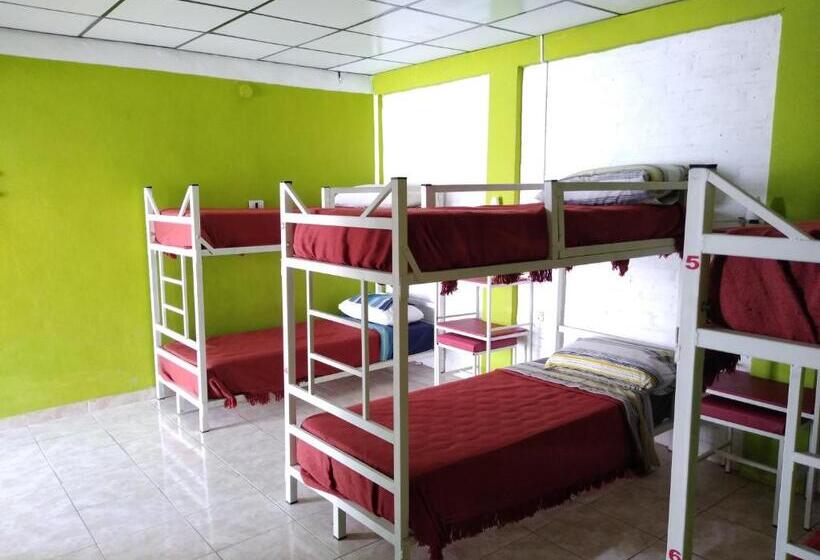 اتاق خانوادگی, Hostel Richieri